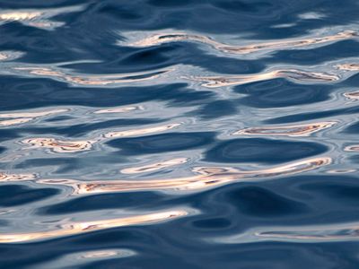 Consistent energy flow throughout the day