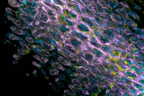 Abstract geometric pattern for student focus